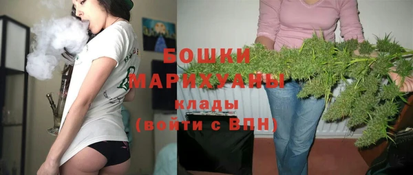 прущие грибы Нязепетровск