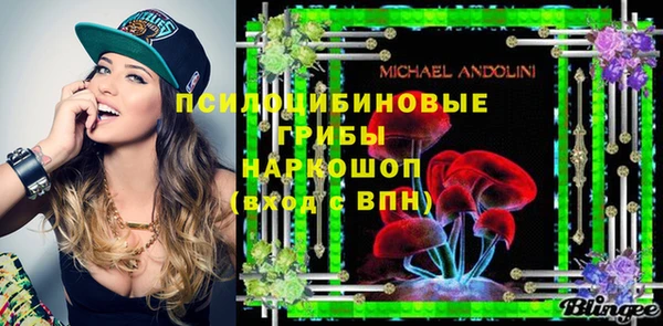 дурь Няндома