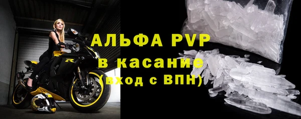 прущие грибы Нязепетровск