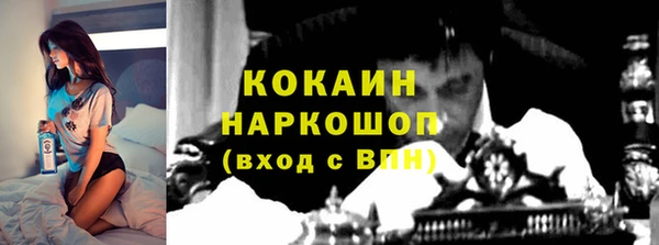 прущие грибы Нязепетровск