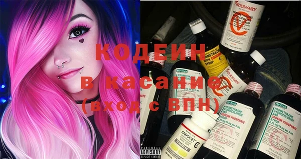 дурь Няндома