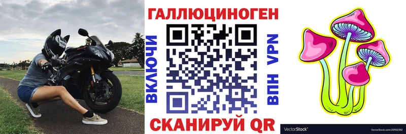 наркота  Балабаново  Галлюциногенные грибы MAGIC MUSHROOMS 